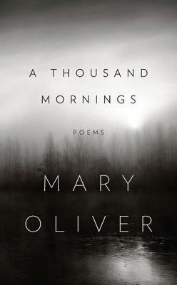 A Thousand Mornings | O#Environment