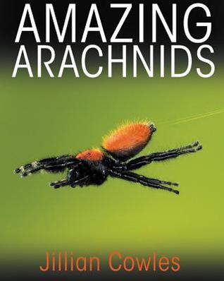 Amazing Arachnids | O#Environment