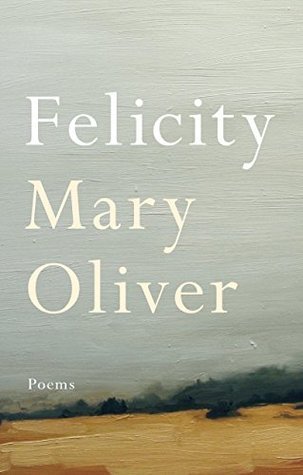 Felicity | O#Environment