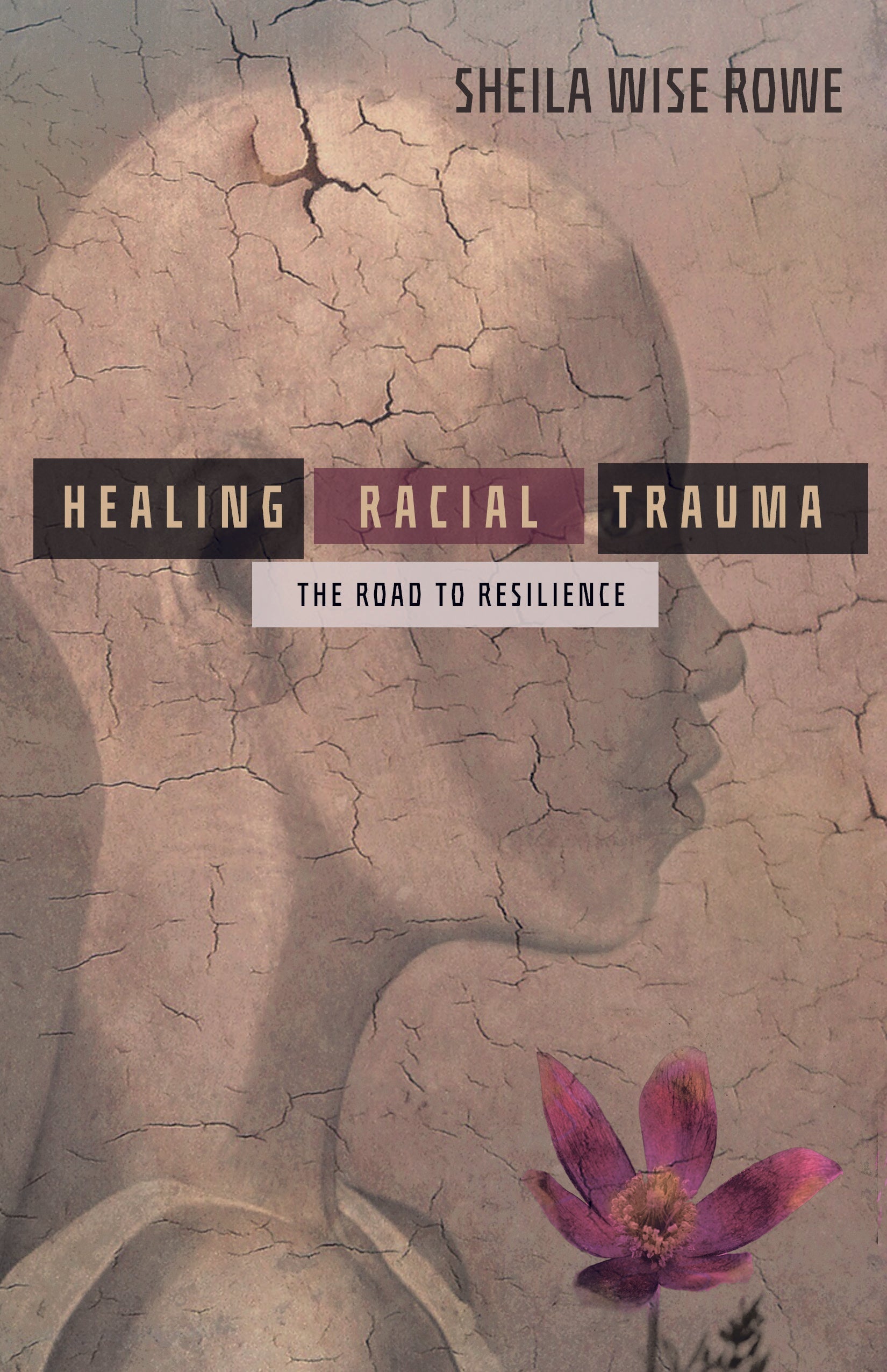 Healing Racial Trauma: The Road to Resilience | O#MentalHealth