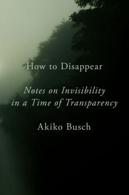How to Disappear: Notes on Invisibility in a Time of Transparency | O#Environment