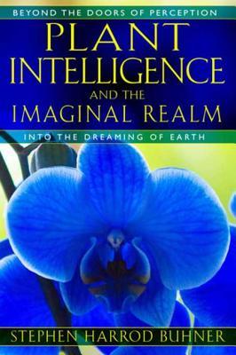 Plant Intelligence and the Imaginal Realm: Beyond the Doors of Perception into the Dreaming of Earth | O#Environment