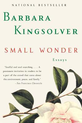Small Wonder | O#Environment