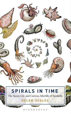 Spirals in Time: The Secret Life and Curious Afterlife of Seashells | O#Environment