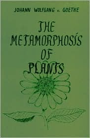 The Metamorphosis of Plants | O#Environment