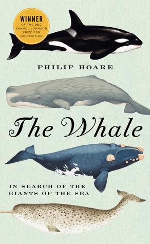 The Whale: In Search of the Giants of the Sea | O#Environment