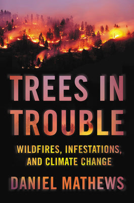 Trees in Trouble: Wildfires, Infestations, and Climate Change Hit the West | O#Environment