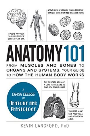 Anatomy 101: From Muscles and Bones to Organs and Systems, Your Guide to How the Human Body Works | O#Health