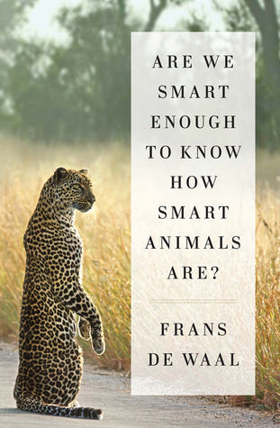 Are We Smart Enough to Know How Smart Animals Are? | O#Environment