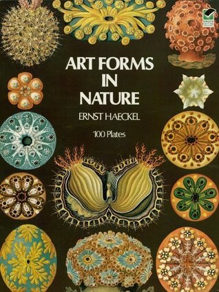 Art Forms in Nature | O#Environment