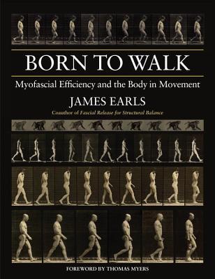 Born to Walk: Myofascial Efficiency and the Body in Movement | O#Health