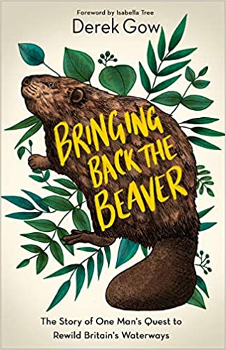 Bringing Back the Beaver: The Story of One Man’s Quest to Rewild Britain’s Waterways | O#Environment