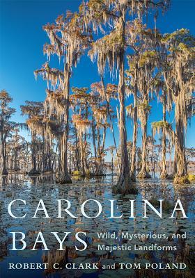 Carolina Bays: Wild, Mysterious, and Majestic Landforms | O#Environment