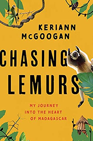 Chasing Lemurs: My Journey into the Heart of Madagascar | O#Environment