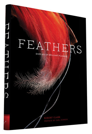 Feathers: Displays of Brilliant Plumage | O#Environment