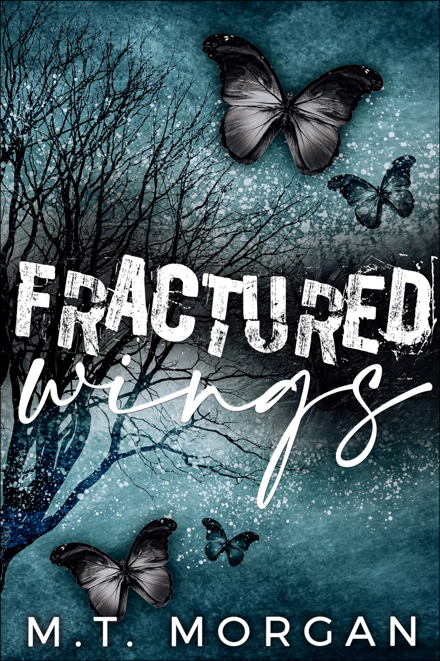 Fractured Wings : A Dark Romance | O#MentalHealth