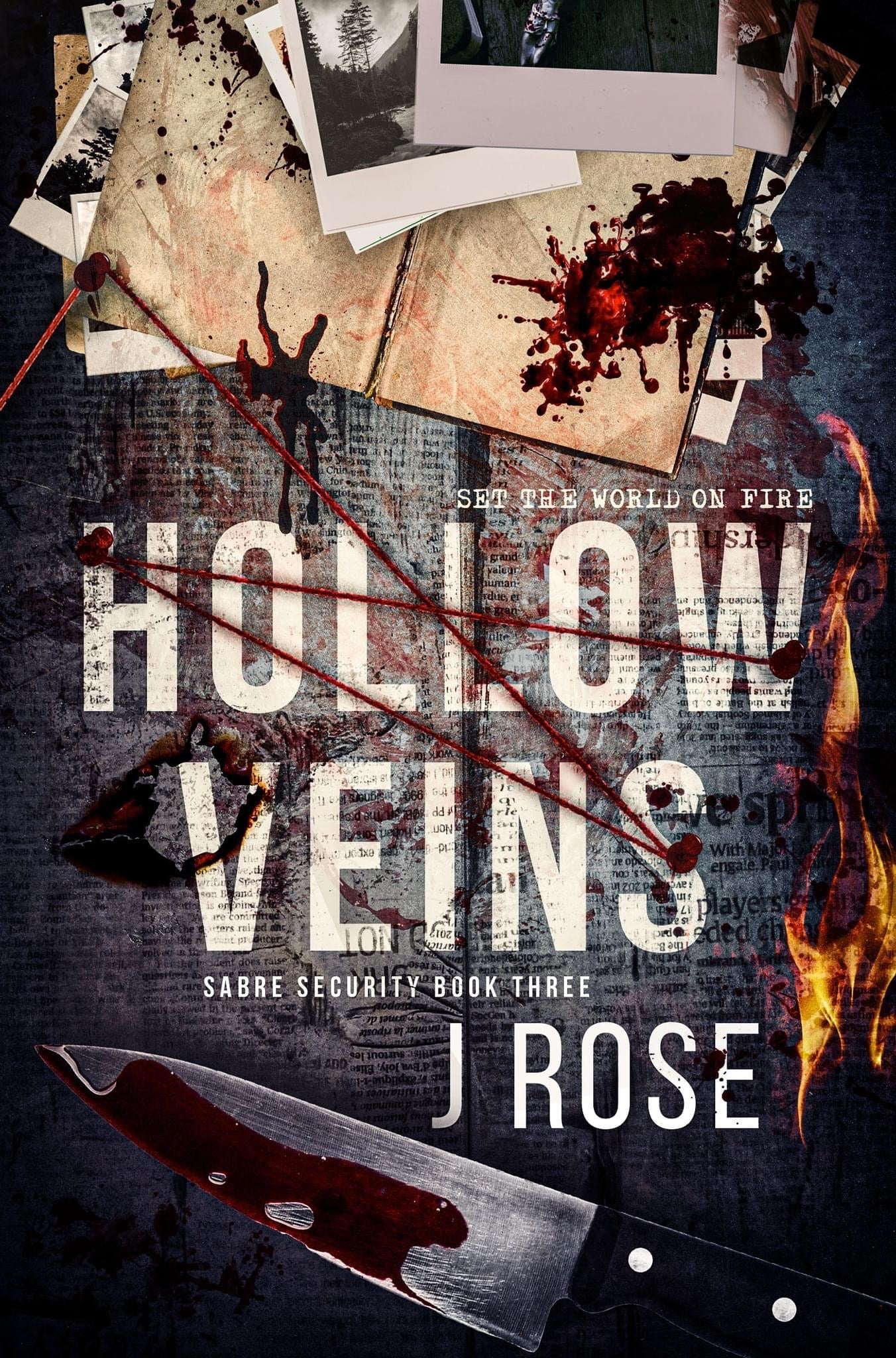Hollow Veins (Sabre Security, #3) | O#MentalHealth
