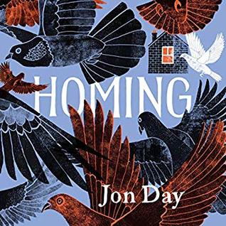 Homing: On Pigeons, Dwellings and Why We Return | O#Environment