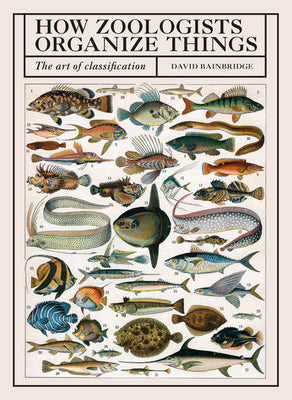 How Zoologists Organize Things: The Art of Classification | O#Environment