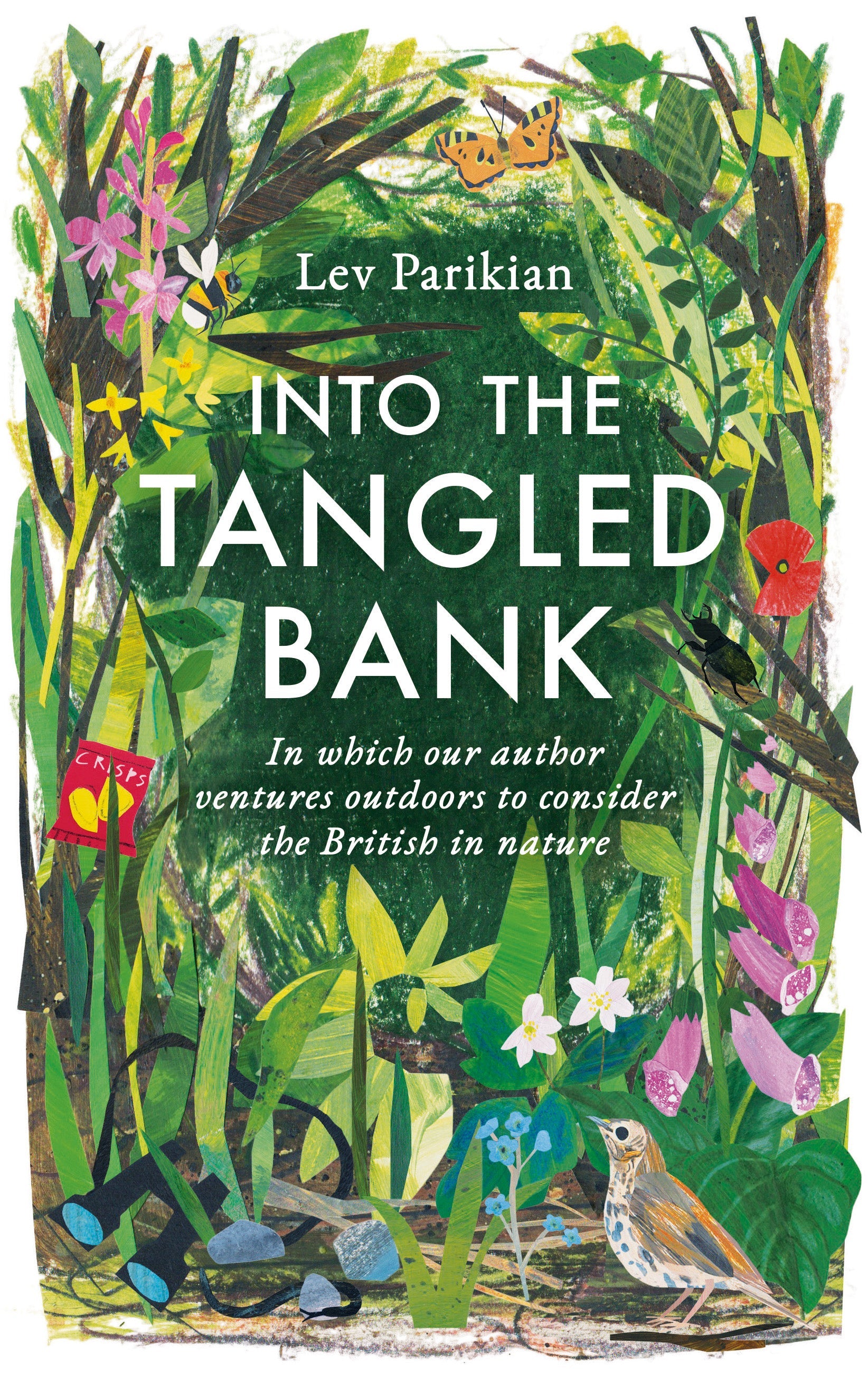 Into the Tangled Bank: In Which Our Author Ventures Outdoors to Consider the British in Nature | O#Environment