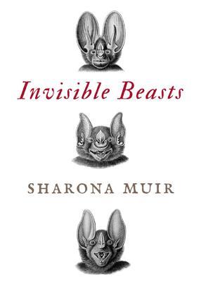 Invisible Beasts | O#Environment