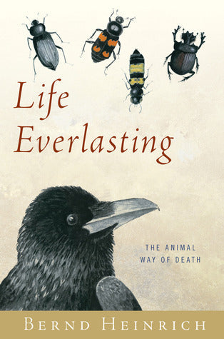 Life Everlasting: The Animal Way of Death | O#Environment