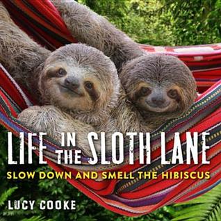 Life in the Sloth Lane: Slow Down and Smell the Hibiscus | O#ArtArchives