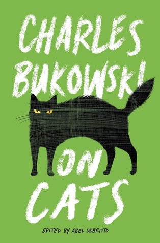 On Cats | O#Poetry