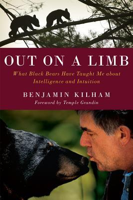 Out on a Limb: What Black Bears Have Taught Me about Intelligence and Intuition | O#Environment