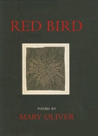 Red Bird | O#Poetry