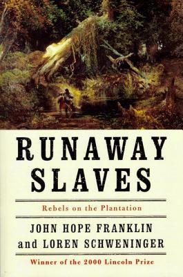 Runaway Slaves: Rebels on the Plantation | O#CIVILWAR