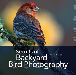 Secrets of Backyard Bird Photography | O#Environment