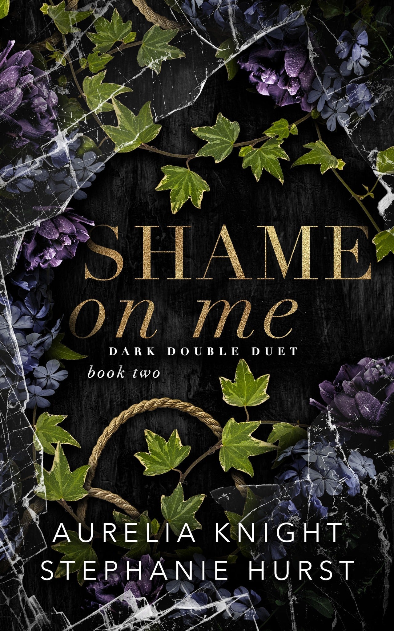 Shame on Me (Dark Double Duet #2) | O#MentalHealth