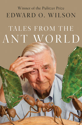 Tales from the Ant World | O#Environment