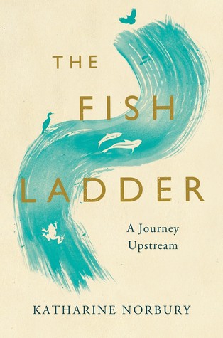 The Fish Ladder: A Journey Upstream | O#Environment