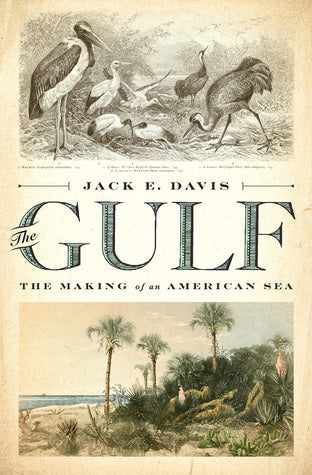 The Gulf: The Making of An American Sea | O#Environment