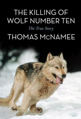 The Killing of Wolf Number Ten: The True Story | O#Environment