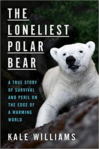 The Loneliest Polar Bear | O#Environment