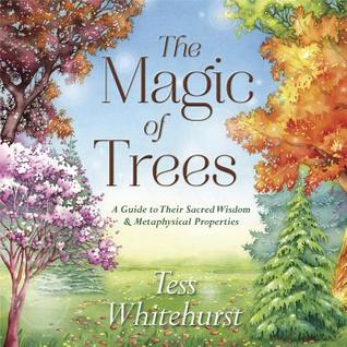 The Magic of Trees: A Guide to Their Sacred Wisdom and Metaphysical Properties | O#Environment