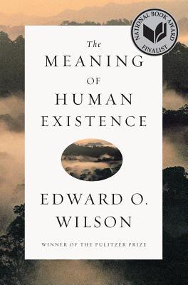 The Meaning of Human Existence | O#Sociology