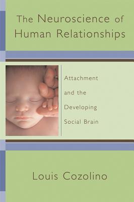 The Neuroscience of Human Relationships: Attachment And the Developing Social Brain | O#Science