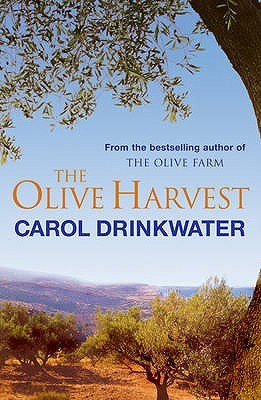 The Olive Harvest: A Memory of Love, Old Trees and Olive Oil | O#Travel