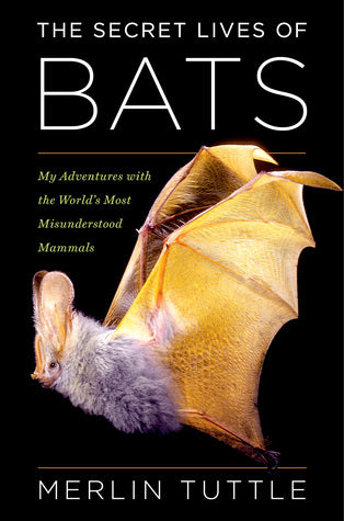 The Secret Lives of Bats: My Adventures with the World’s Most Misunderstood Mammals | O#Travel