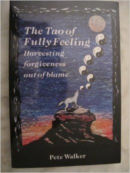 The Tao of fully feeling: Harvesting forgiveness out of blame | O#Health