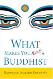 What Makes You Not a Buddhist | O#Travel