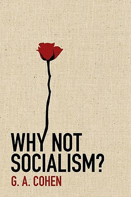 Why Not Socialism? | O#Sociology