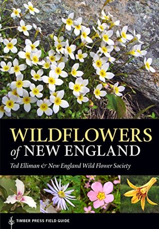 Wildflowers of New England: Timber Press Field Guide (Timber Press Field Guides) | O#Environment